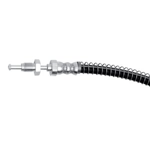 Mercedes-Benz C63 AMG Brake Hose - Rear - R1 Concepts - `16-`21